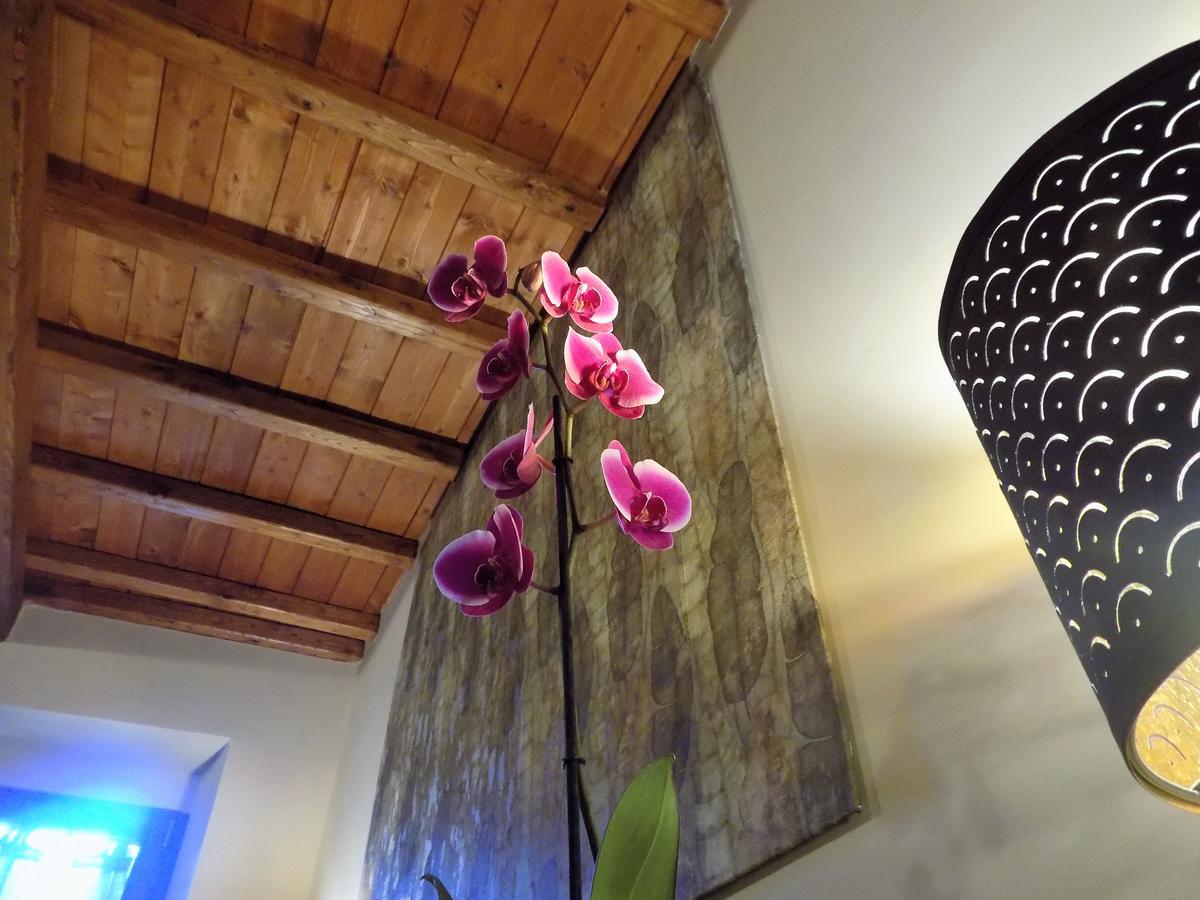 Al Cardinale Bed & Breakfast Витербо Екстериор снимка